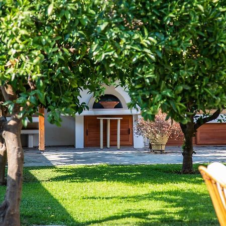 Amaryllis Holiday Home Agios Spyridon  Dış mekan fotoğraf