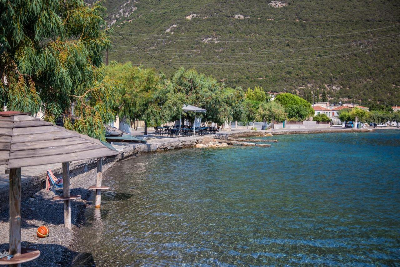 Amaryllis Holiday Home Agios Spyridon  Dış mekan fotoğraf