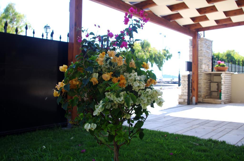 Amaryllis Holiday Home Agios Spyridon  Dış mekan fotoğraf